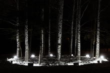 Три десятка световых арт-объектов появятся в Харитоновском парке Екатеринбурга