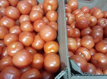 Свердловский Россельхознадзор не пустил в область 18 тонн зараженных томатов из Казахстана